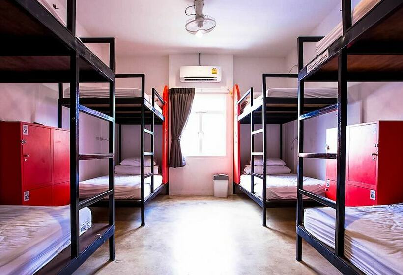 Mad Monkey Chiang Mai   Hostel