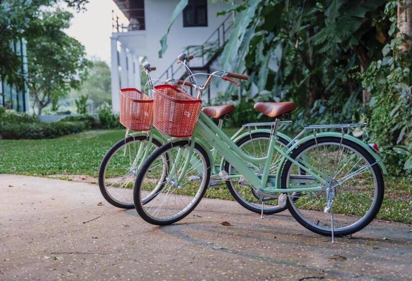 ベッドアンドブレックファースト Baan 88 Chiang Mai