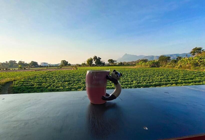 Bed and Breakfast Bua Patumma Resort