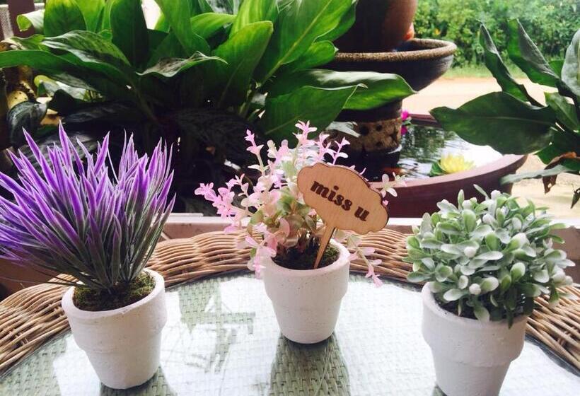 مبيت وإفطار Nt House