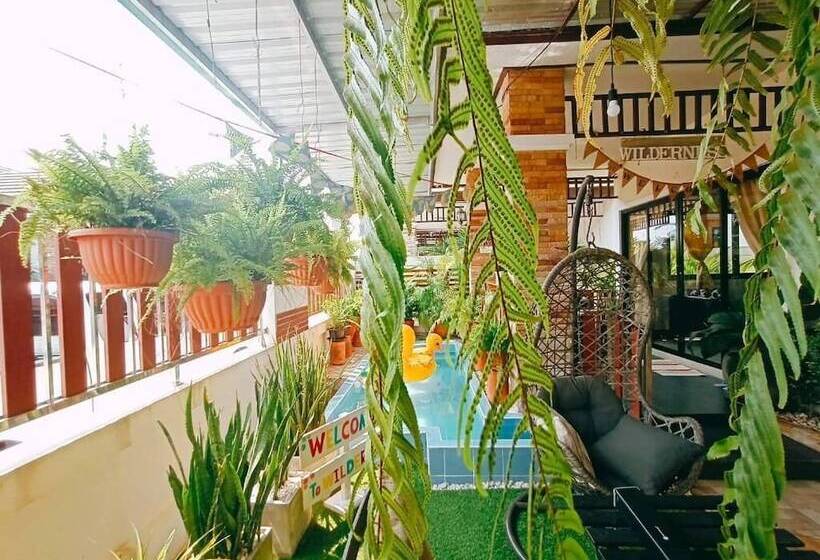 مبيت وإفطار Wilderness