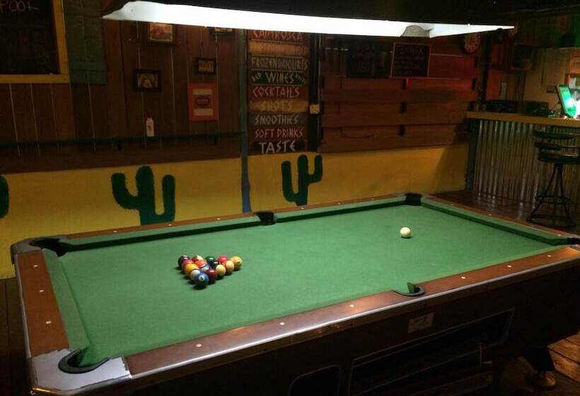 ホテル Exotic Bungalows