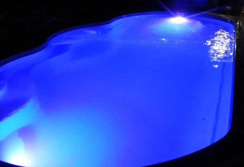 ホテル Exotic Bungalows