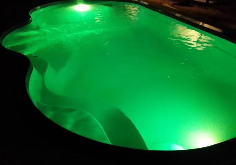 ホテル Exotic Bungalows