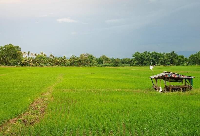 Kyp Khunyuw Place Hotel โรงแรมเควายพี ขุนยูวเพลส ฝาง