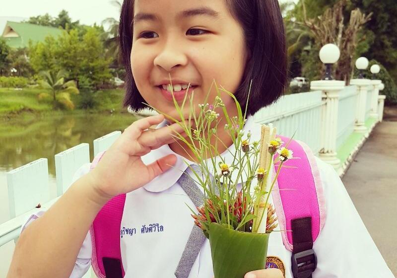 Отель Phuphan Park