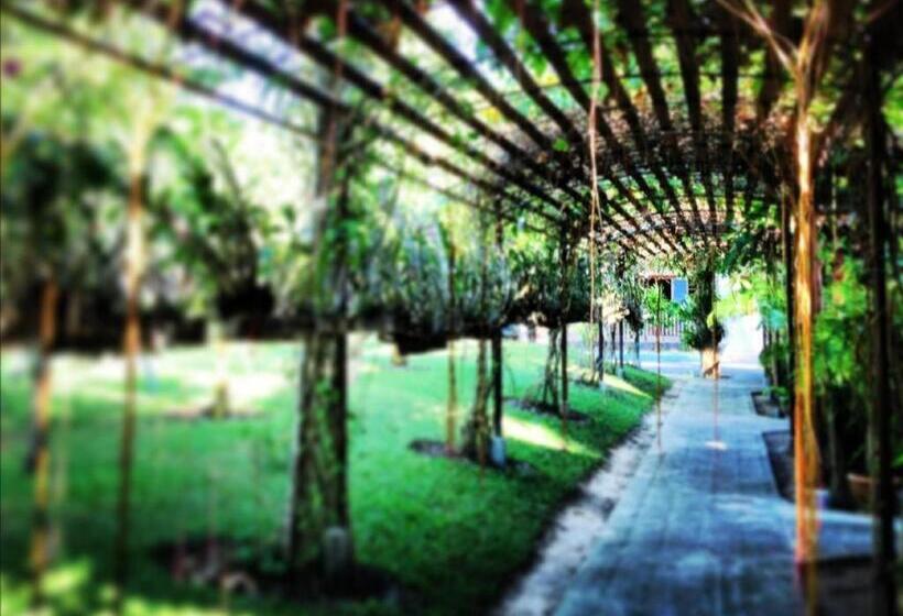 Отель Phuphan Park