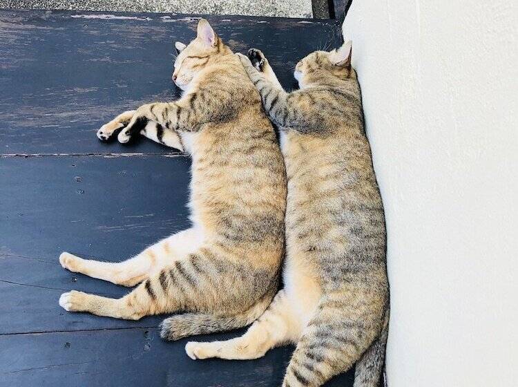 Отель Suwannatara Resort