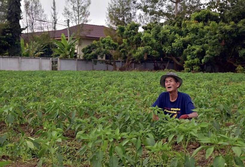 Отель Suwannatara Resort