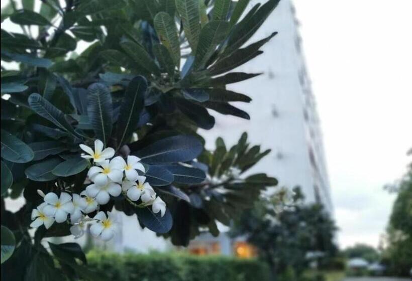 The Park Hotel Pattaya