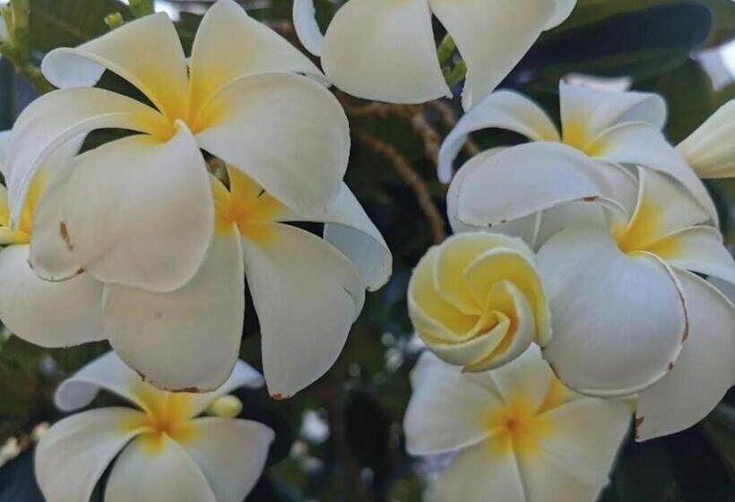 The Park Hotel Pattaya