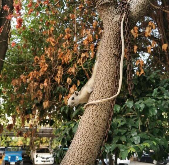 The Park Hotel Pattaya