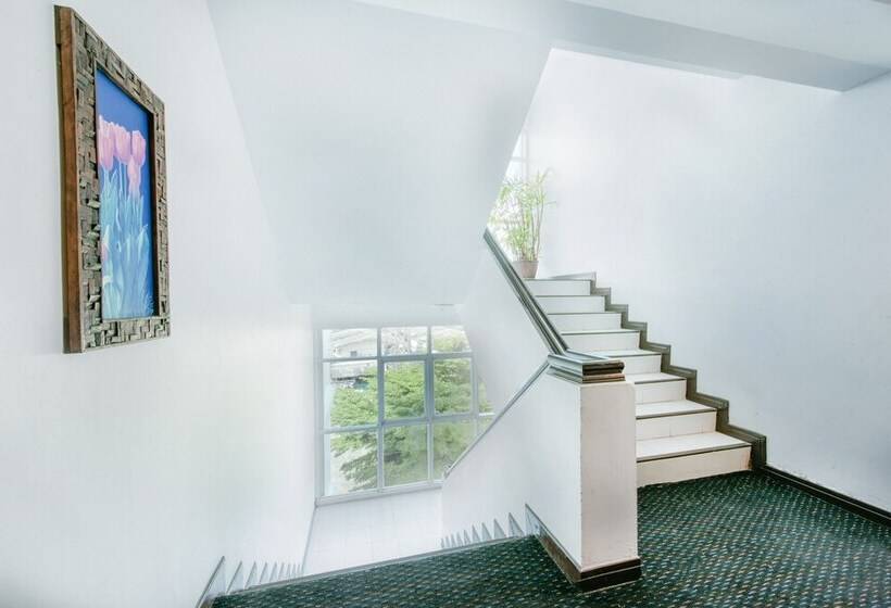 בית מלון כפרי The Singora