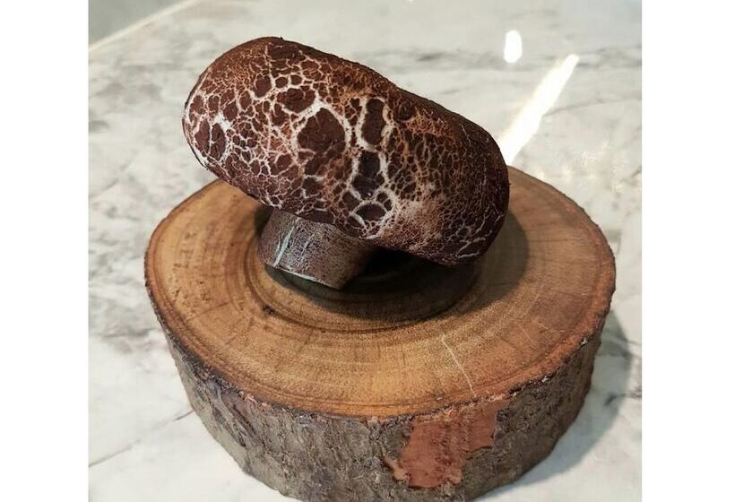 Madera Residence Sriracha