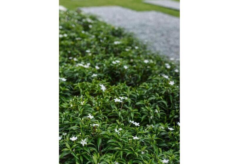 Madera Residence Sriracha