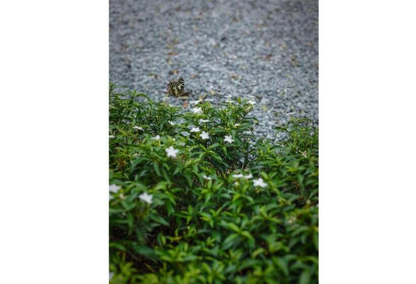 Madera Residence Sriracha