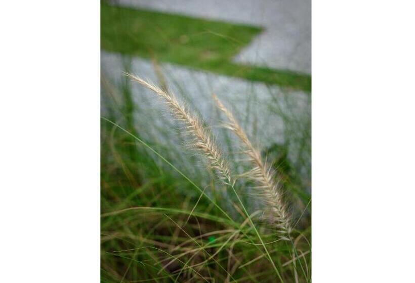 Madera Residence Sriracha