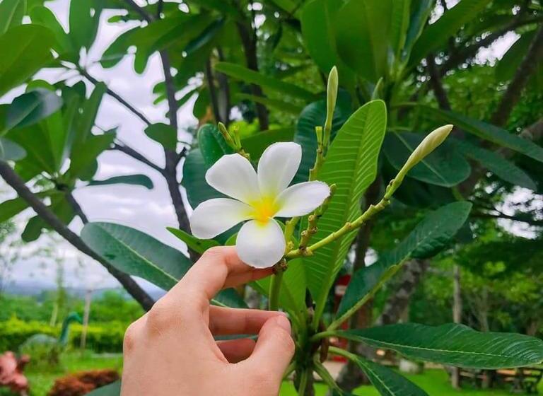 Mon Kiang Dao Resort