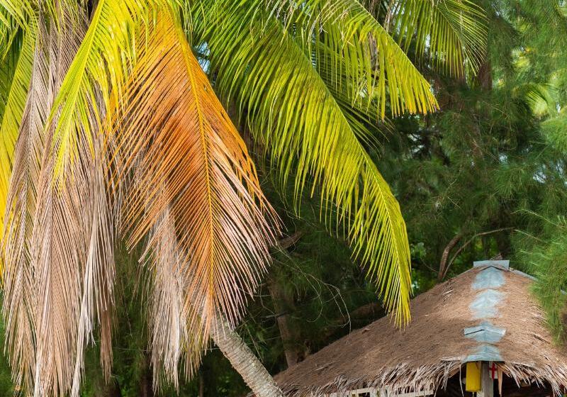 Pawapi Beach Resort Koh Mook