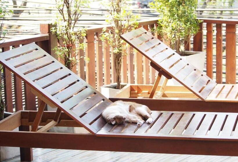 ペンション Chommuang Guest House