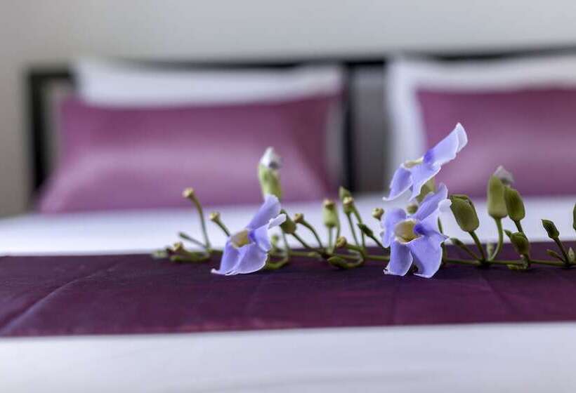 The Lantern Hostel And Spa