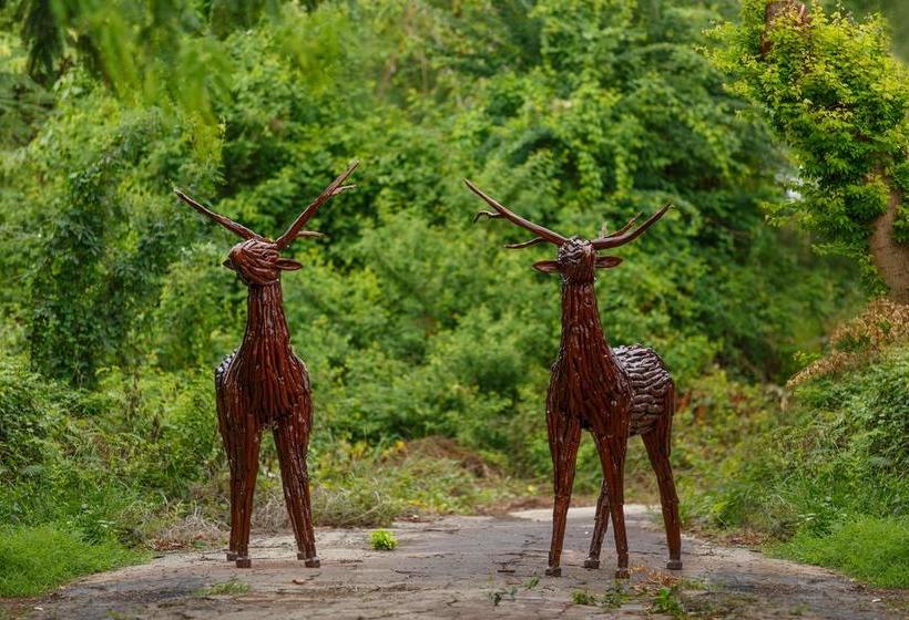 הוסטל Paplern Resort