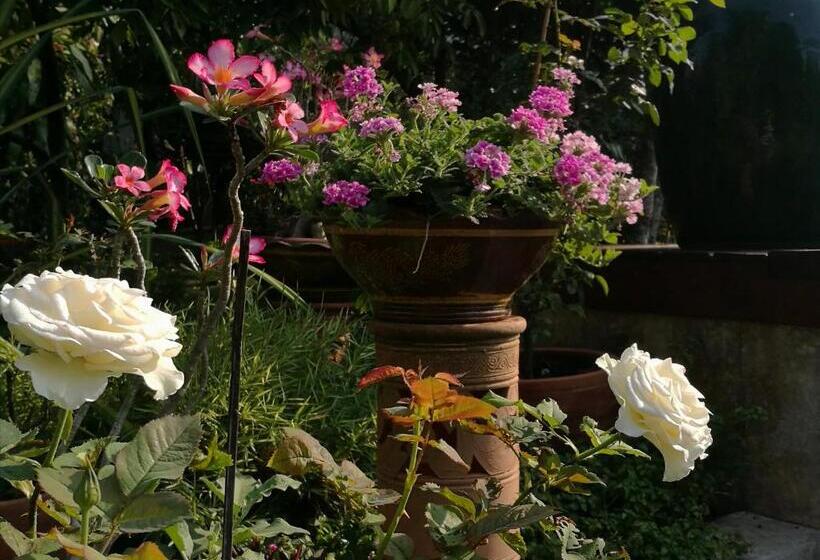 Bed and Breakfast Villa Albizia, Chiang Mai