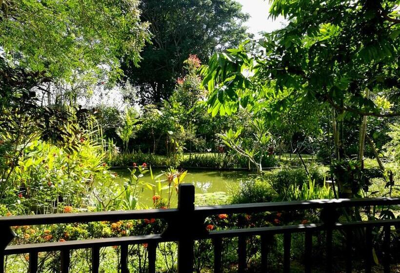 تختخواب و صبحانه Villa Albizia, Chiang Mai