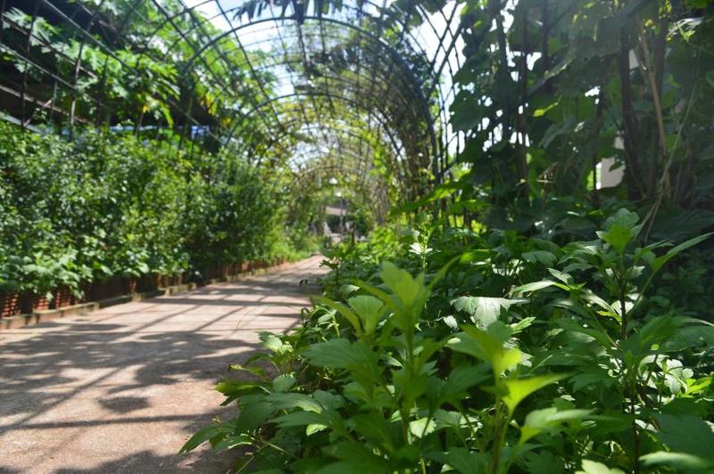 Be Fine Sabuy Hotel And Resort