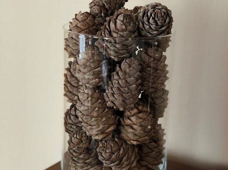 Отель Classic Tomsk