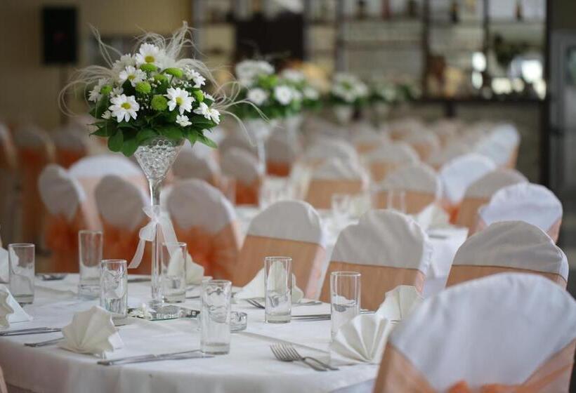 هتل Dragović Smederevo