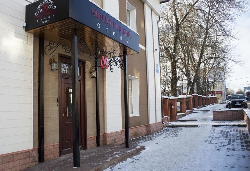 בית מלון כפרי Milyutinsky