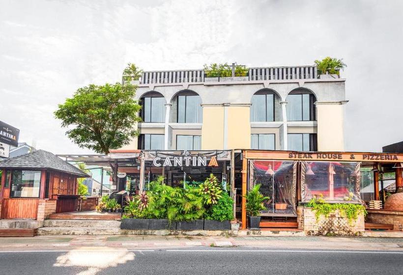 בית מלון כפרי Pine House