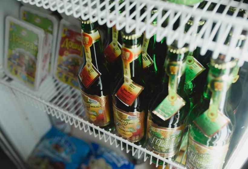 酒店 Safari Hostel