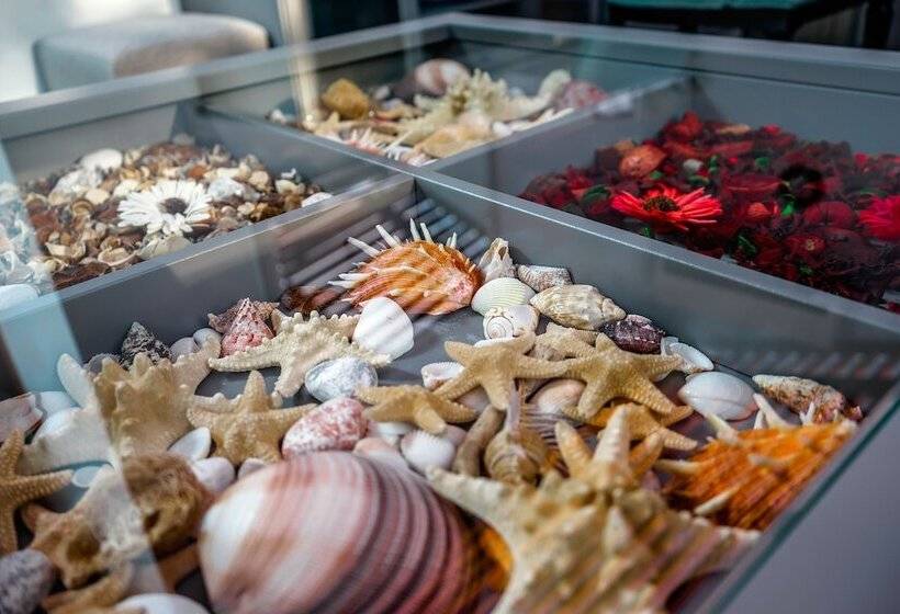 酒店 Villa Deja Vu