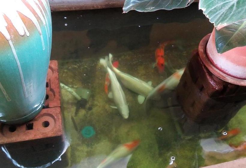 בית מלון כפרי Yellow Tique