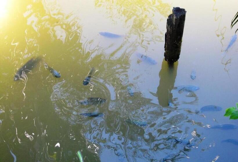 Phanom Bencha Mountain Resort