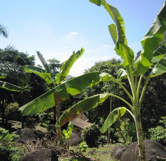 Phanom Bencha Mountain Resort