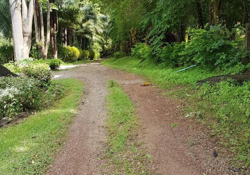 Phanom Bencha Mountain Resort