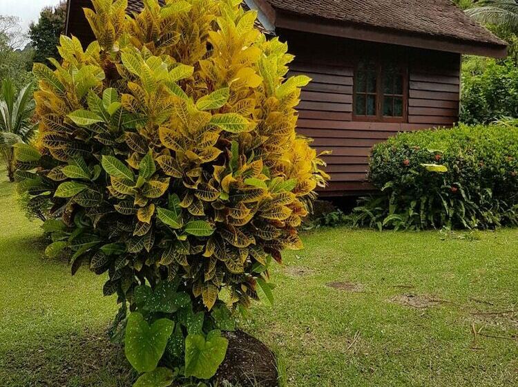 Phanom Bencha Mountain Resort