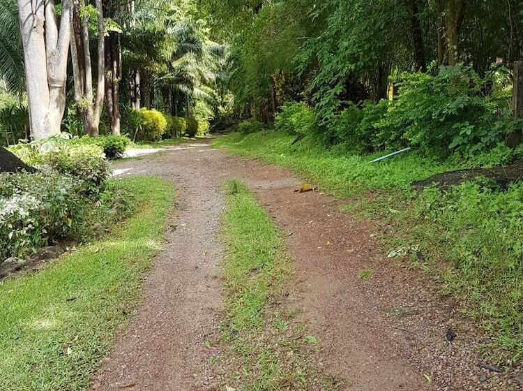 Phanom Bencha Mountain Resort