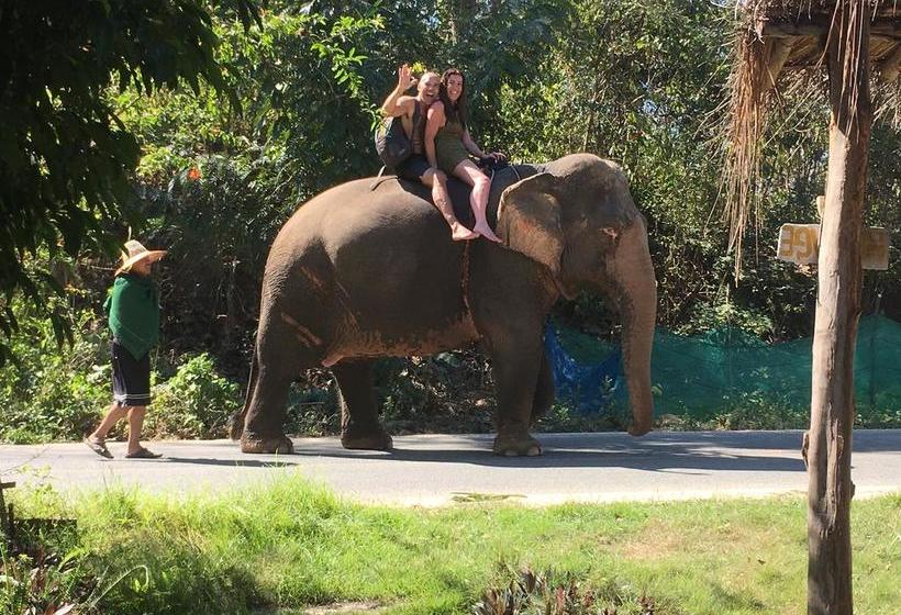 리조트 Pai Bamboo Hut
