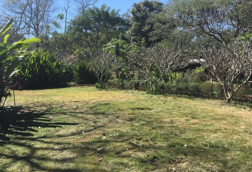 리조트 Pai Bamboo Hut