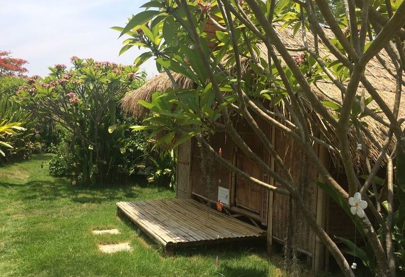 리조트 Pai Bamboo Hut