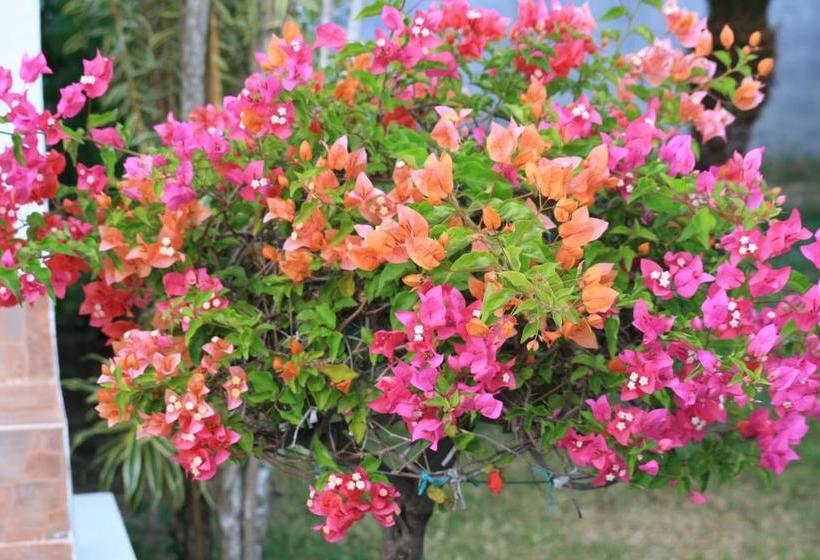 אתר נופש Samui Le Reve