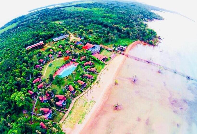 The Cinnamon Art Resort And Spa