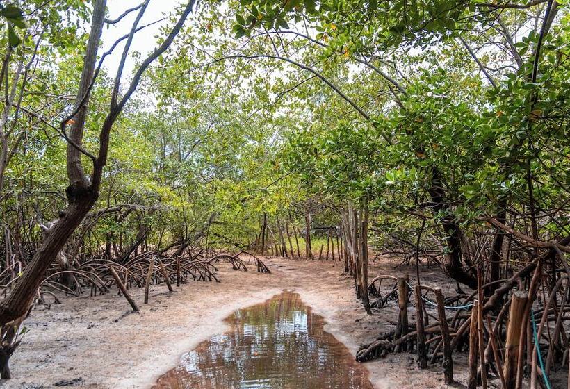 בית מלון כפרי Pousada La Bella Luna