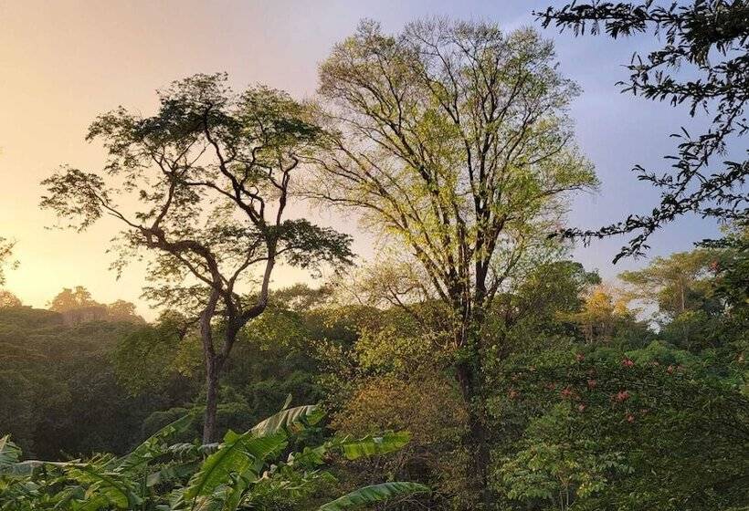 فندق Chirripo Art