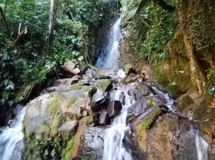 فندق Chirripo Art