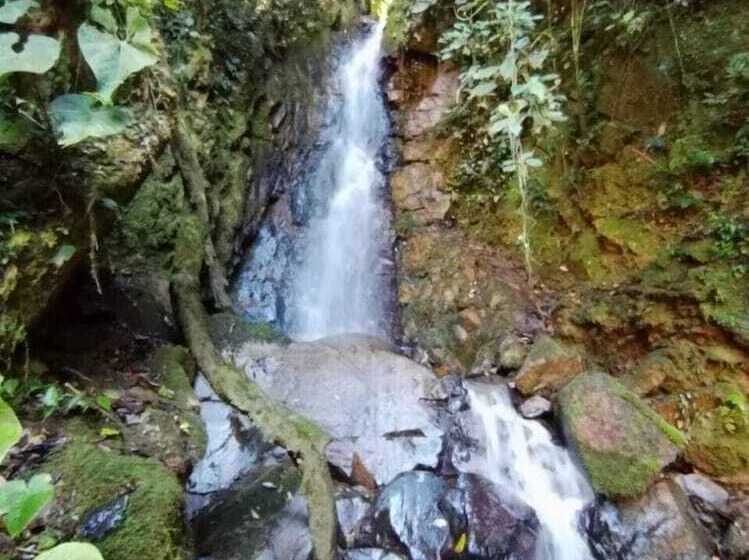 فندق Chirripo Art